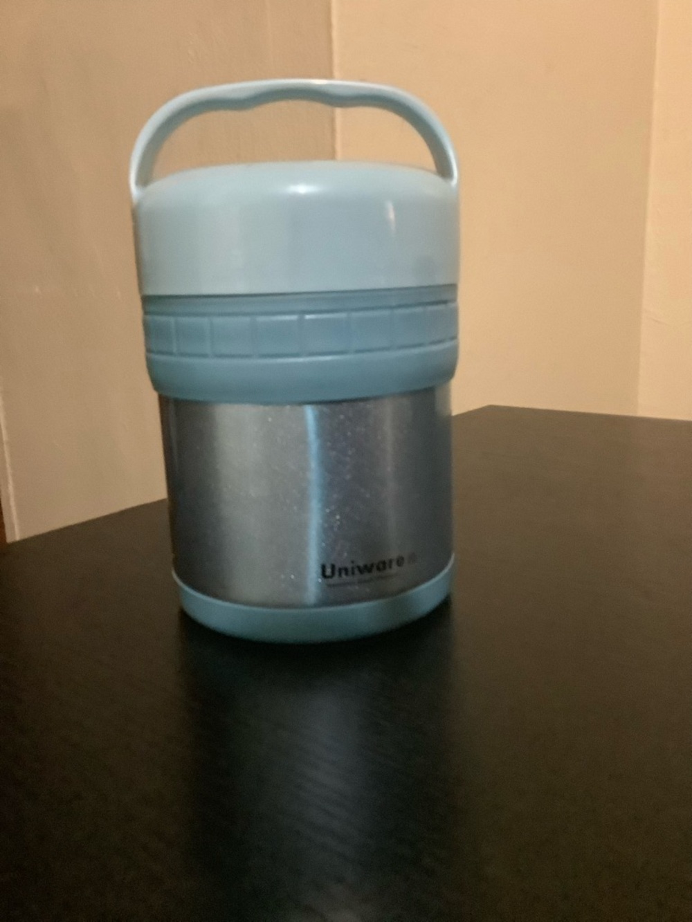 Light Blue Stainless Steel Food Container with Handle